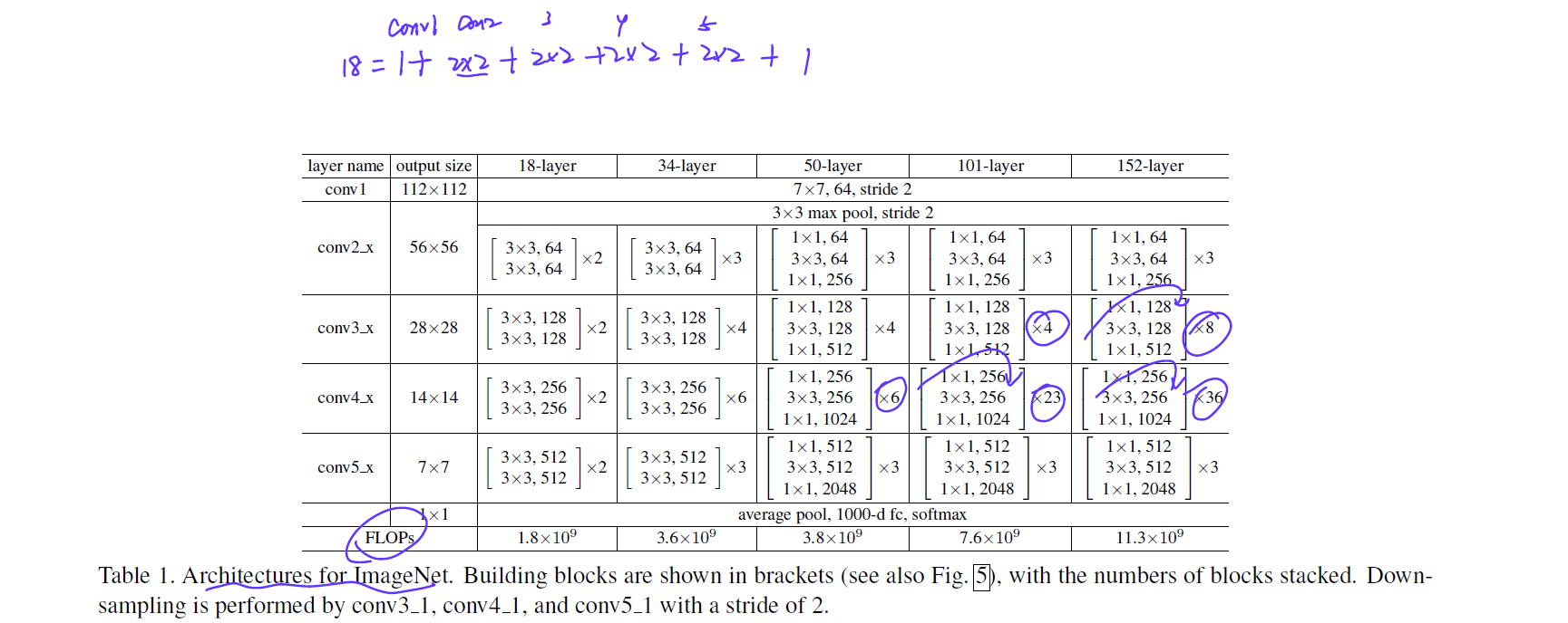 Architectures for ImageNet